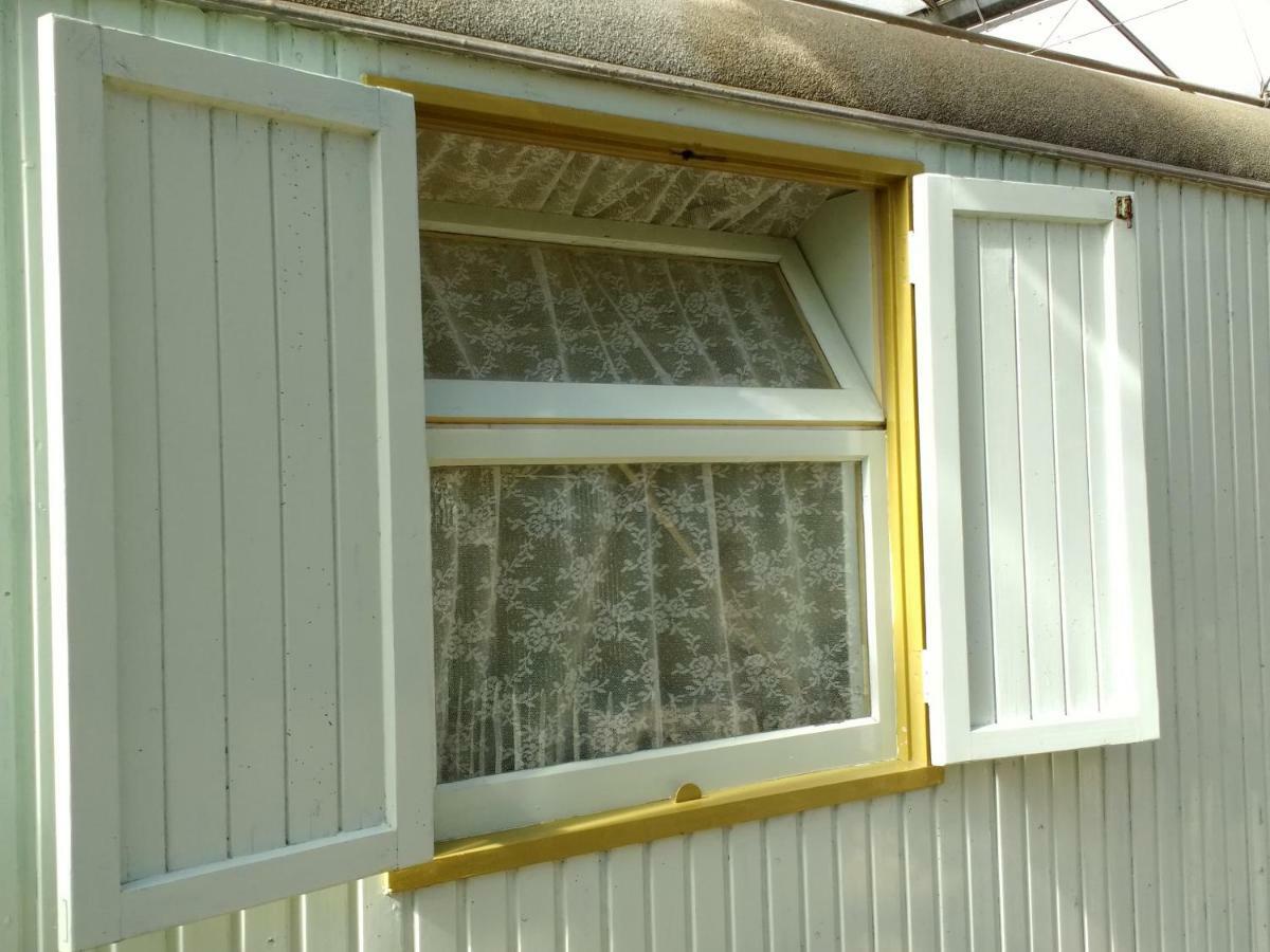 Pipowagen Overnachting Het Houten Huis Zaltbommel Extérieur photo