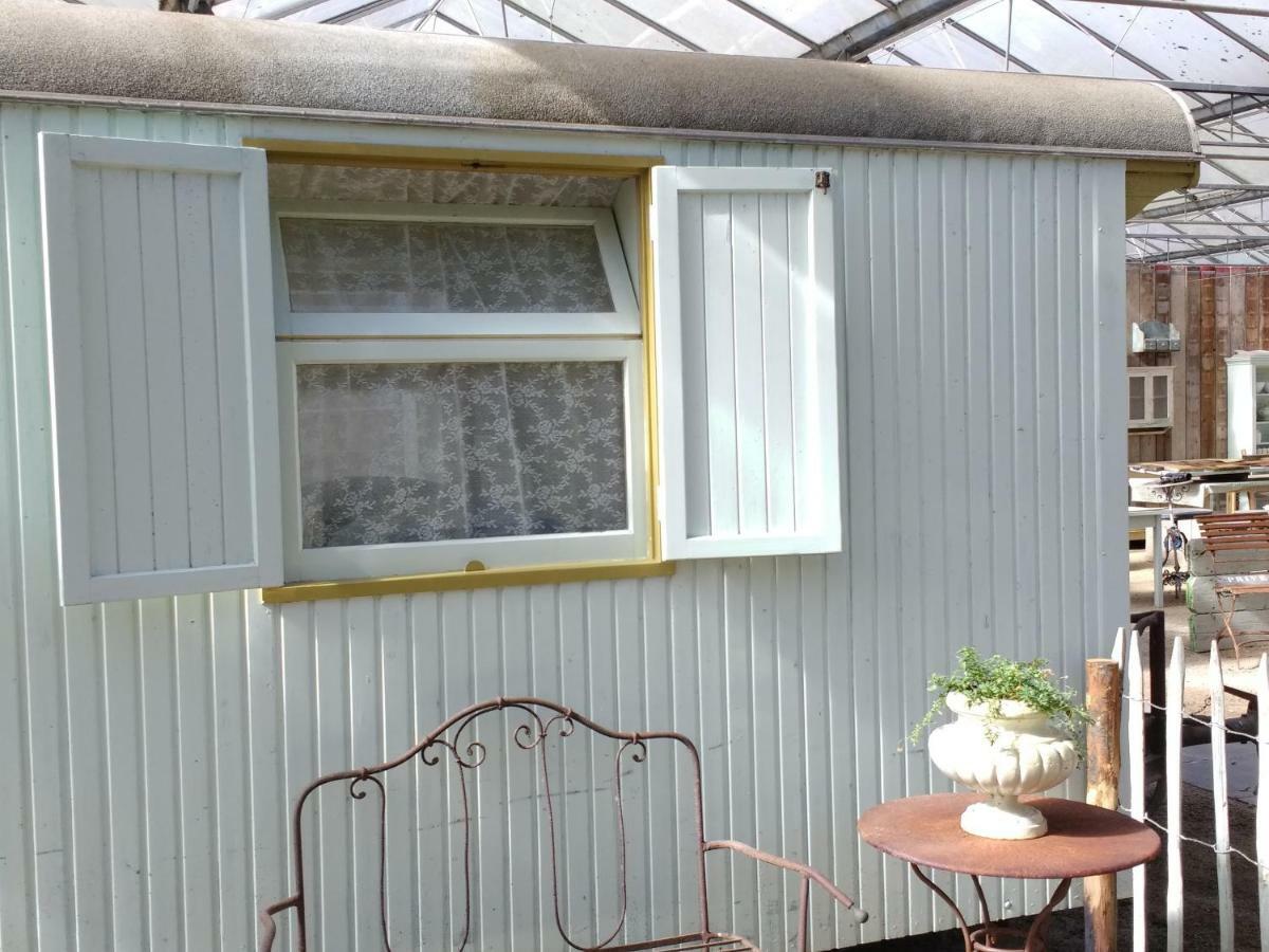 Pipowagen Overnachting Het Houten Huis Zaltbommel Extérieur photo