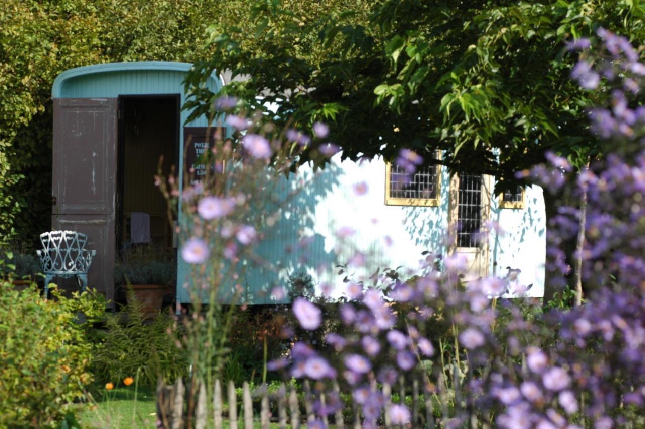 Pipowagen Overnachting Het Houten Huis Zaltbommel Extérieur photo