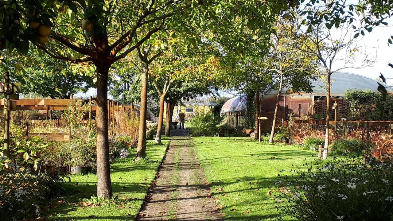 Pipowagen Overnachting Het Houten Huis Zaltbommel Extérieur photo